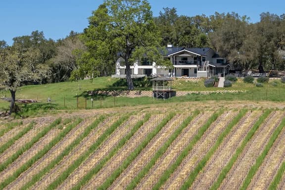 Oak & Vine Vineyard House | Sleeps 21 | Views